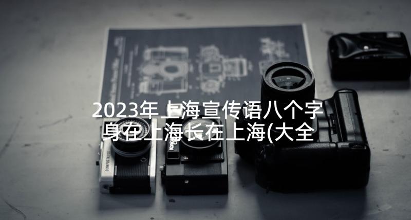 2023年上海宣传语八个字 身在上海长在上海(大全6篇)