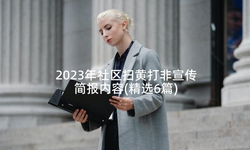 2023年社区扫黄打非宣传简报内容(精选6篇)