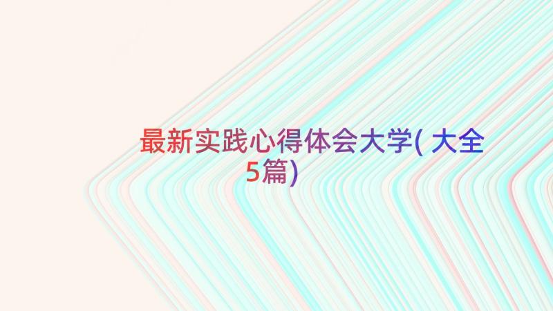 最新实践心得体会大学(大全5篇)