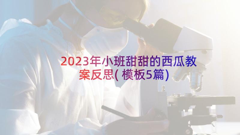 2023年小班甜甜的西瓜教案反思(模板5篇)