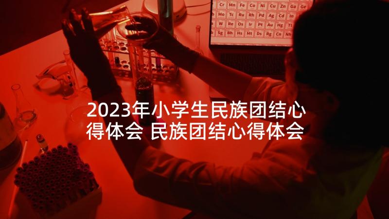 2023年小学生民族团结心得体会 民族团结心得体会(大全8篇)