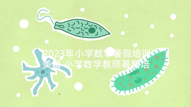 2023年小学数学暑假培训美篇 小学数学教师暑期培训心得(大全5篇)