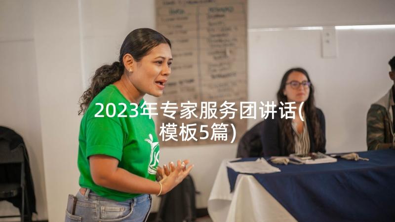 2023年专家服务团讲话(模板5篇)