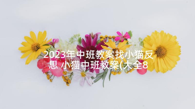 2023年中班教案找小猫反思 小猫中班教案(大全8篇)