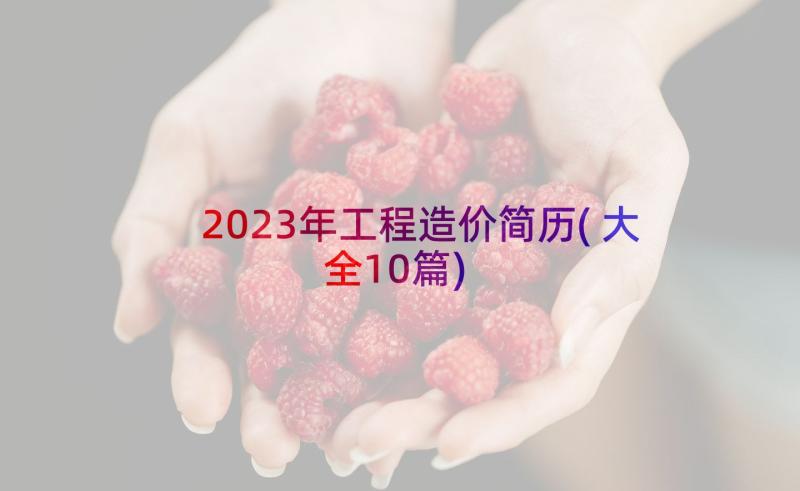 2023年工程造价简历(大全10篇)