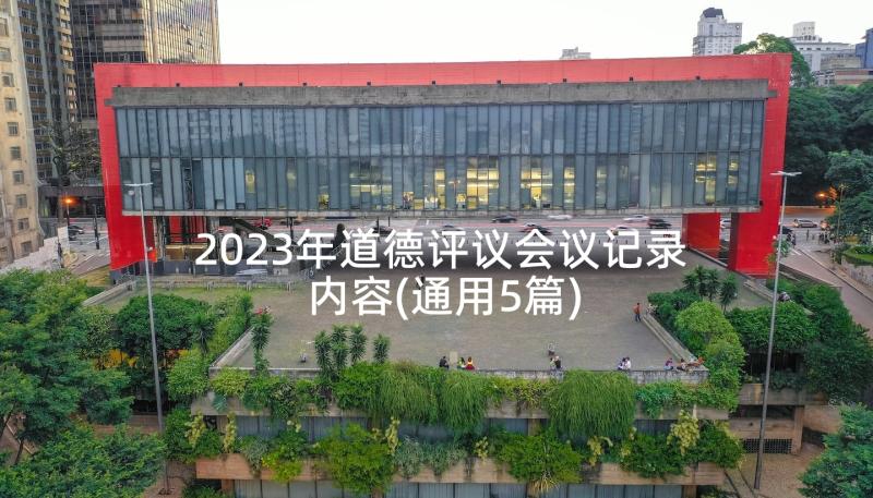 2023年道德评议会议记录内容(通用5篇)