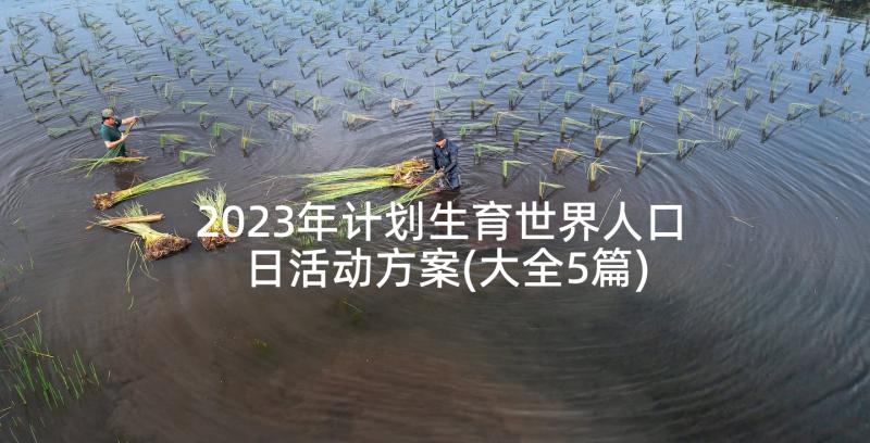 2023年计划生育世界人口日活动方案(大全5篇)