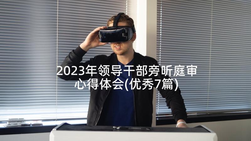 2023年领导干部旁听庭审心得体会(优秀7篇)