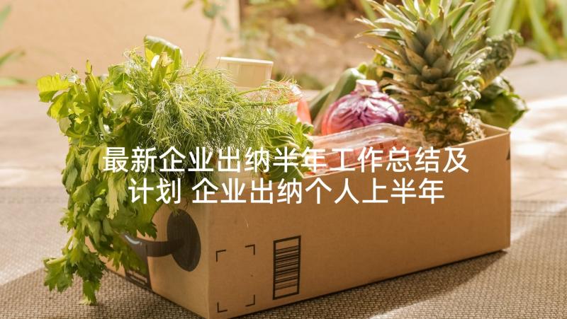 最新企业出纳半年工作总结及计划 企业出纳个人上半年工作总结(汇总5篇)