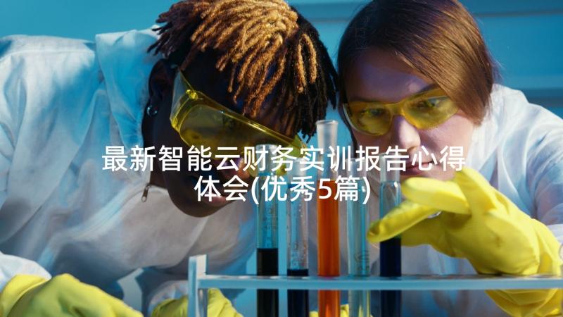 最新智能云财务实训报告心得体会(优秀5篇)