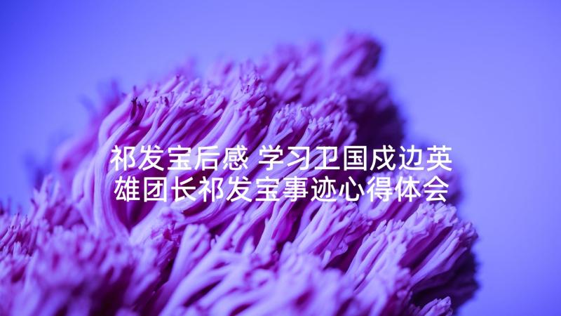 祁发宝后感 学习卫国戍边英雄团长祁发宝事迹心得体会(模板5篇)