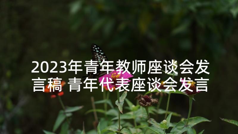 2023年青年教师座谈会发言稿 青年代表座谈会发言(优秀6篇)