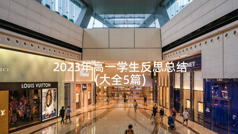 2023年高一学生反思总结(大全5篇)