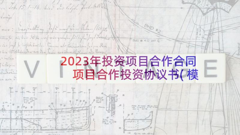 2023年投资项目合作合同 项目合作投资协议书(模板7篇)