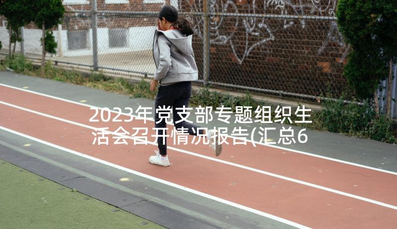 2023年党支部专题组织生活会召开情况报告(汇总6篇)