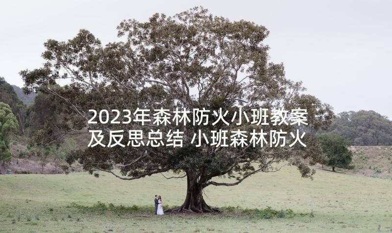 2023年森林防火小班教案及反思总结 小班森林防火知识课教案(大全5篇)