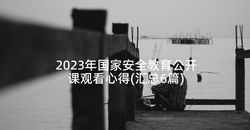 2023年国家安全教育公开课观看心得(汇总6篇)