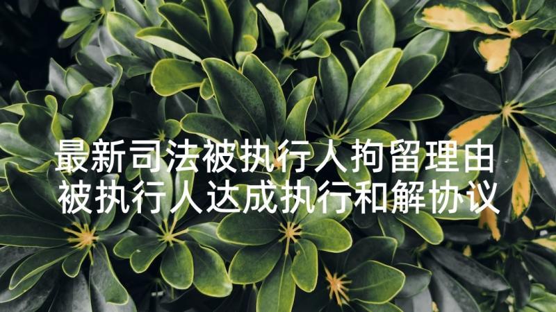 最新司法被执行人拘留理由 被执行人达成执行和解协议(汇总8篇)