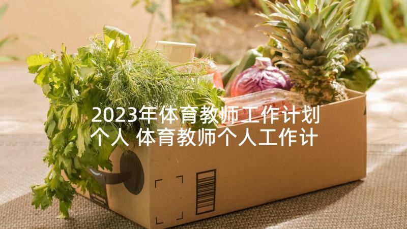 2023年体育教师工作计划个人 体育教师个人工作计划(通用10篇)