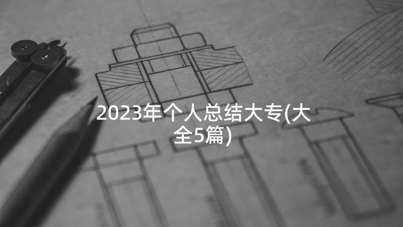 2023年个人总结大专(大全5篇)