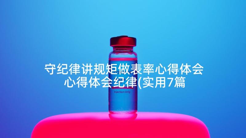 守纪律讲规矩做表率心得体会 心得体会纪律(实用7篇)