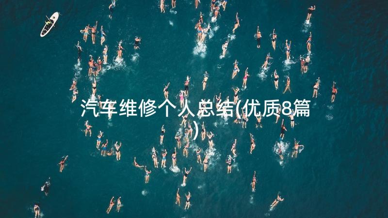 汽车维修个人总结(优质8篇)