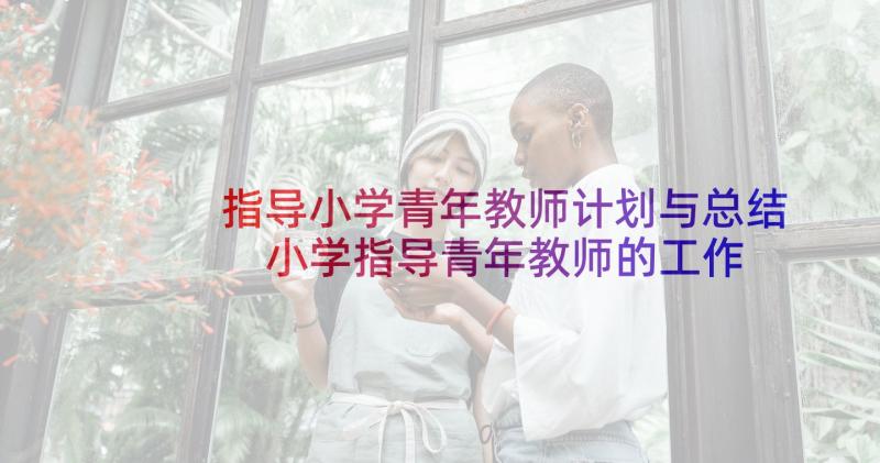 指导小学青年教师计划与总结 小学指导青年教师的工作计划(通用5篇)