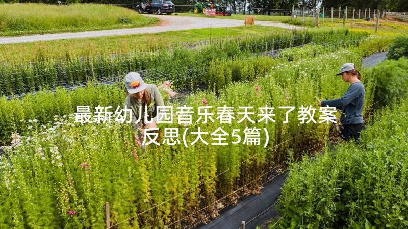 最新重阳节敬老演讲稿三分钟(汇总5篇)