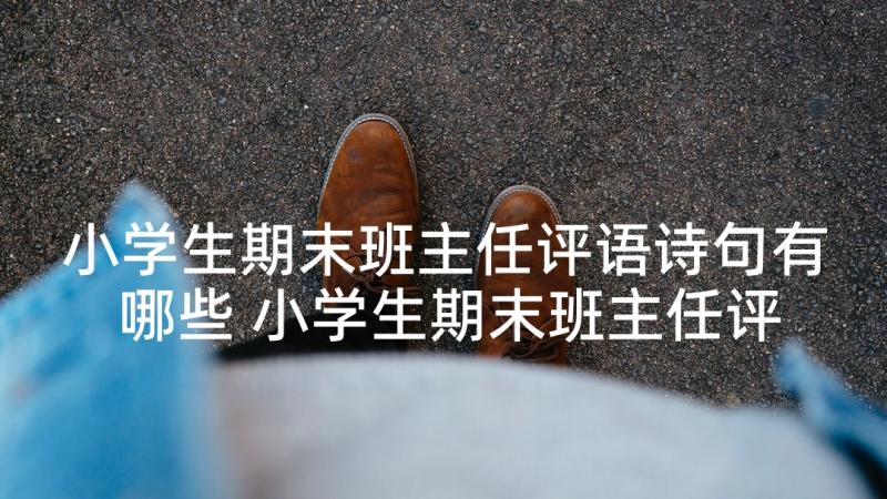 小学生期末班主任评语诗句有哪些 小学生期末班主任评语(实用6篇)