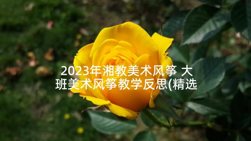 2023年湘教美术风筝 大班美术风筝教学反思(精选5篇)