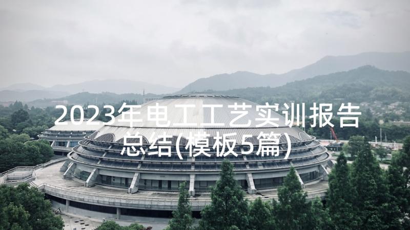 2023年电工工艺实训报告总结(模板5篇)