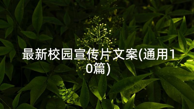 最新校园宣传片文案(通用10篇)