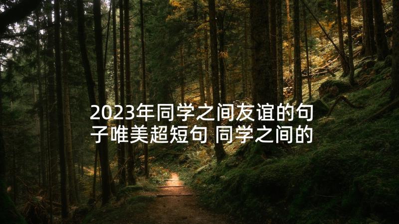 2023年同学之间友谊的句子唯美超短句 同学之间的友谊(汇总10篇)