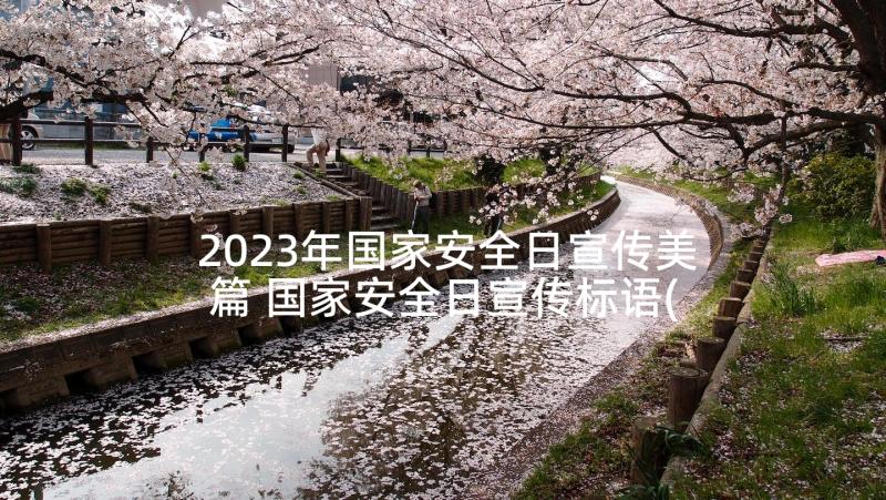 2023年国家安全日宣传美篇 国家安全日宣传标语(实用5篇)