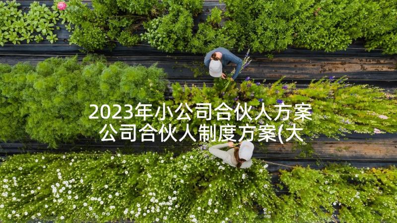 2023年小公司合伙人方案 公司合伙人制度方案(大全5篇)