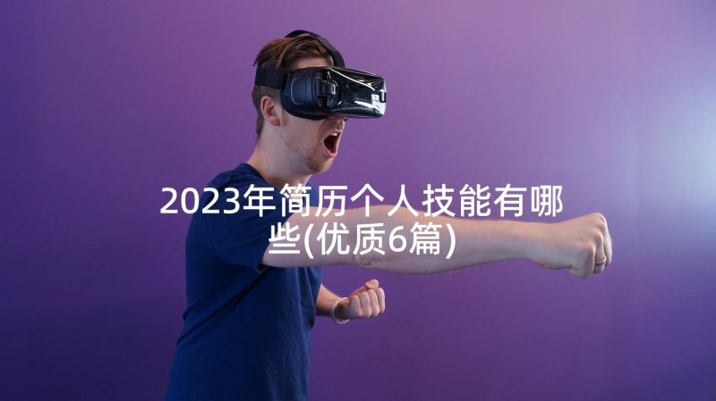 2023年简历个人技能有哪些(优质6篇)