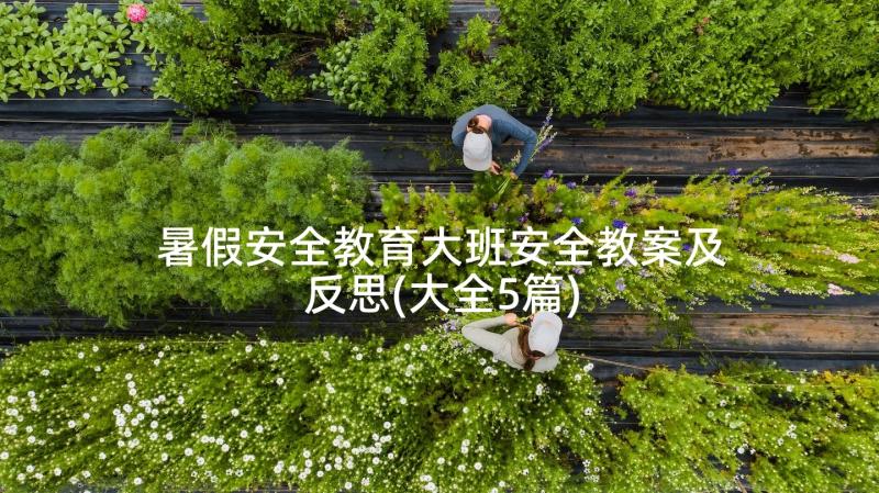 暑假安全教育大班安全教案及反思(大全5篇)