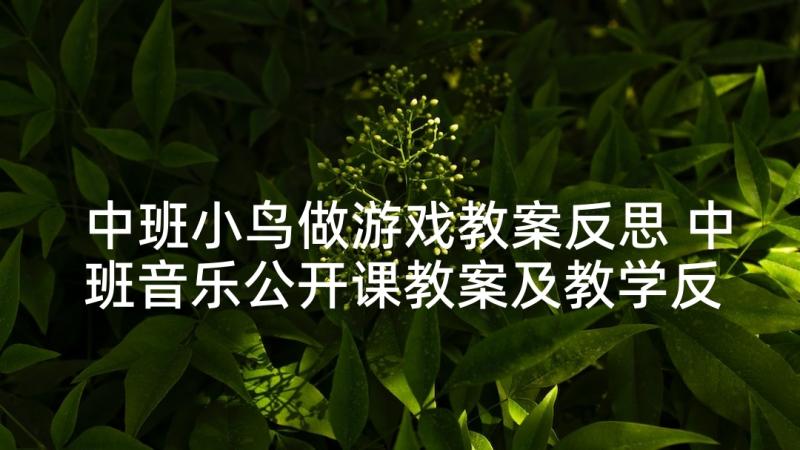 中班小鸟做游戏教案反思 中班音乐公开课教案及教学反思小鸟落落(模板5篇)