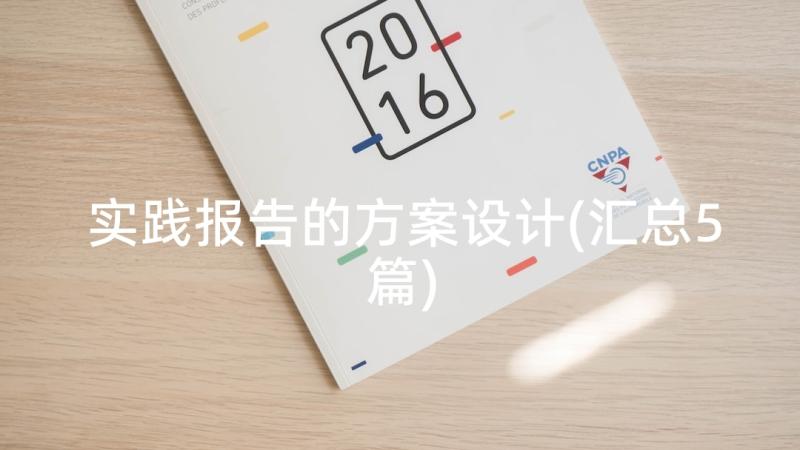 实践报告的方案设计(汇总5篇)