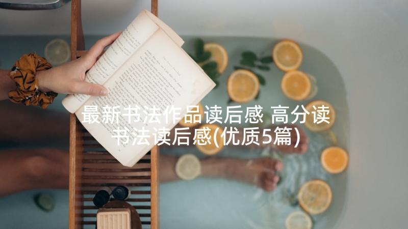 最新书法作品读后感 高分读书法读后感(优质5篇)