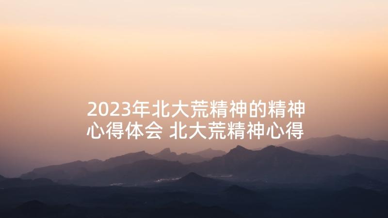 2023年北大荒精神的精神心得体会 北大荒精神心得体会精华(精选5篇)