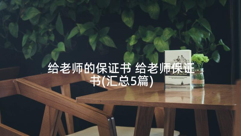 给老师的保证书 给老师保证书(汇总5篇)