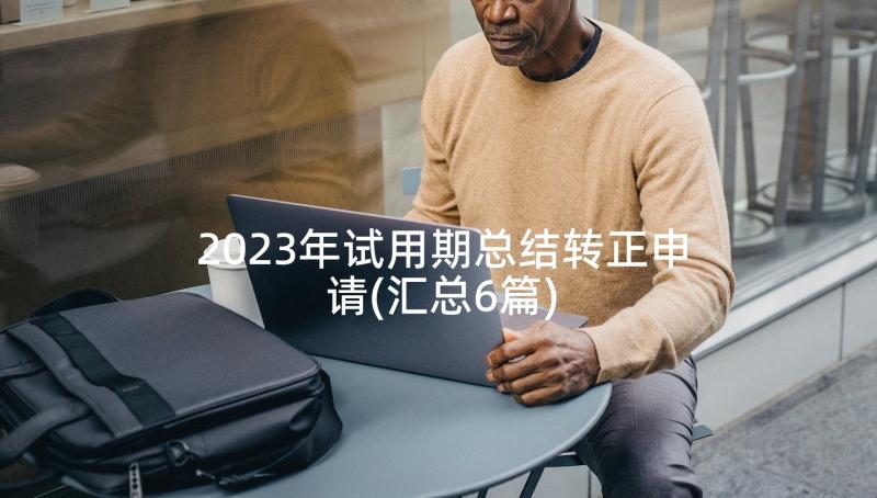 2023年试用期总结转正申请(汇总6篇)