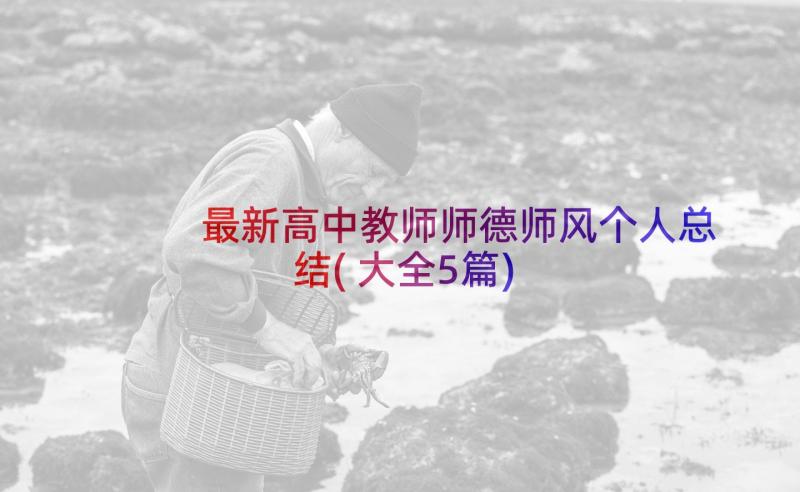 最新高中教师师德师风个人总结(大全5篇)