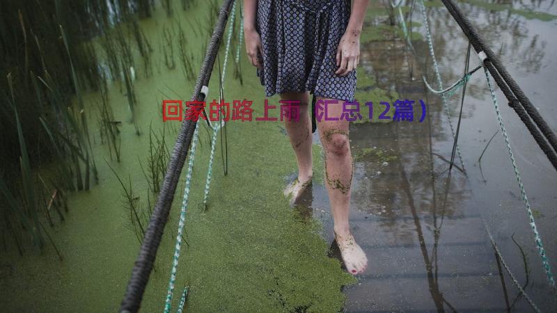 回家的路上雨（汇总12篇）