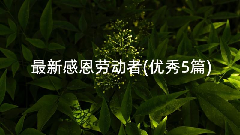 最新感恩劳动者(优秀5篇)