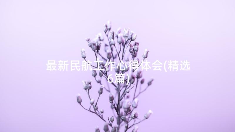 最新民航工作心得体会(精选6篇)