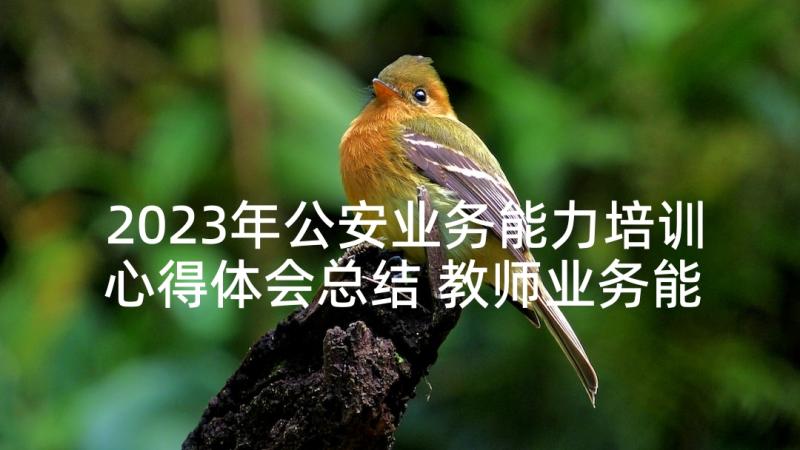 2023年公安业务能力培训心得体会总结 教师业务能力培训心得体会(模板5篇)