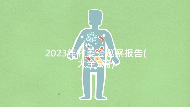 2023年村委会巡察报告(大全5篇)