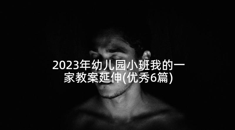 2023年幼儿园小班我的一家教案延伸(优秀6篇)